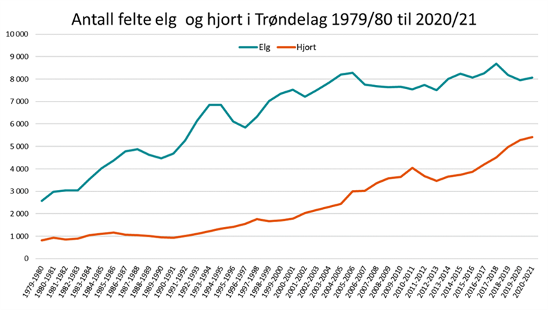 Antall felte elg og hjort i Trøndelag 1979-80 til 2020-21