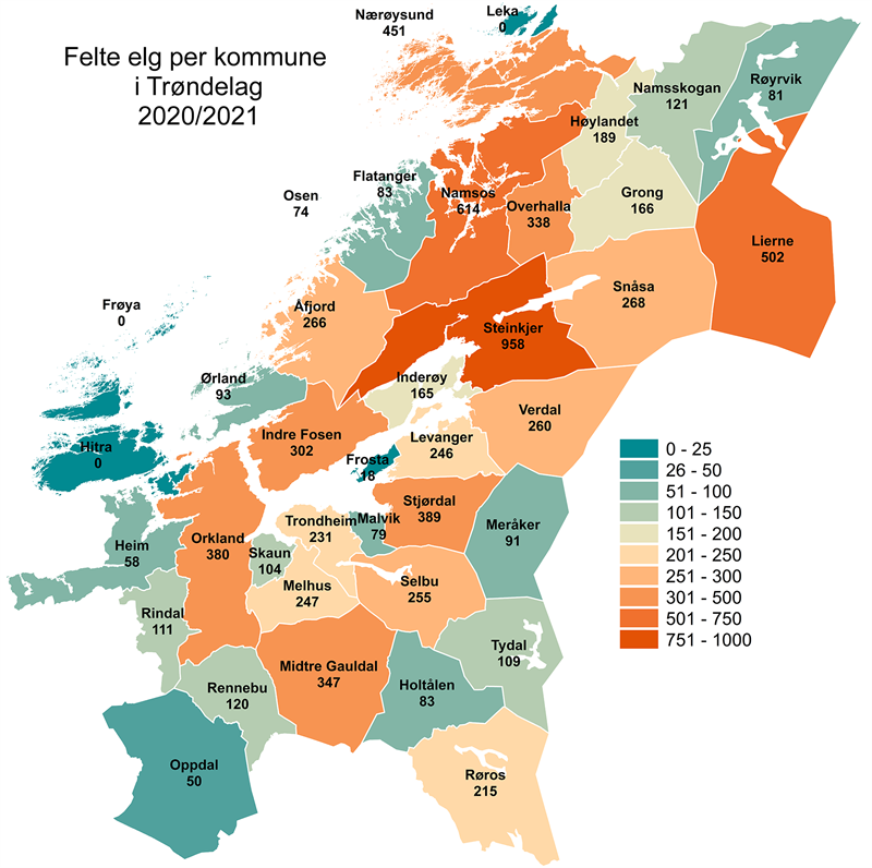 Felte elg 2020-2021