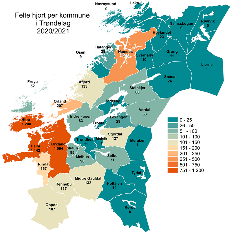 Felte hjort 2020-2021