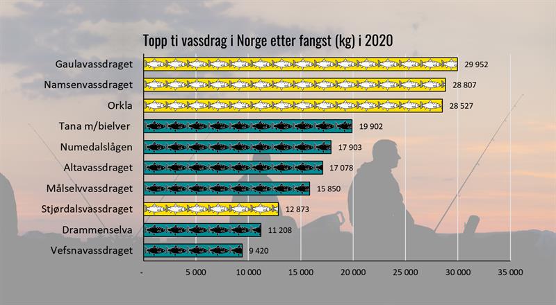 Topp 10 vassdrag i Norge etter fangst (kg) i 2020-utenbakgrunn