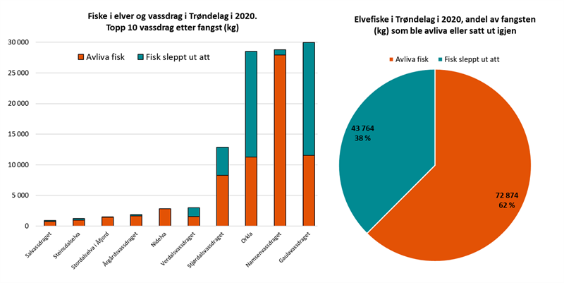 Elvefiske i Trønderske elver og vassdrag i 2020