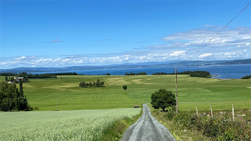 Kulturlandskap og Trondheimsfjorden.