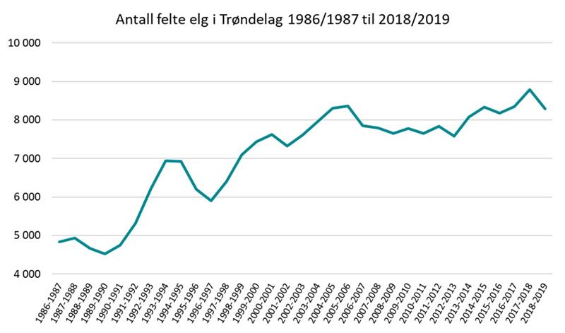 Graf som viser antall felte elg i Trøndelag (Illustrasjon: Trøndelag fylkeskommune)