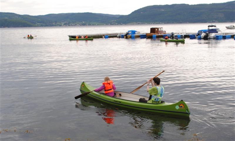 Foto: 4H Nord-Trøndelag 