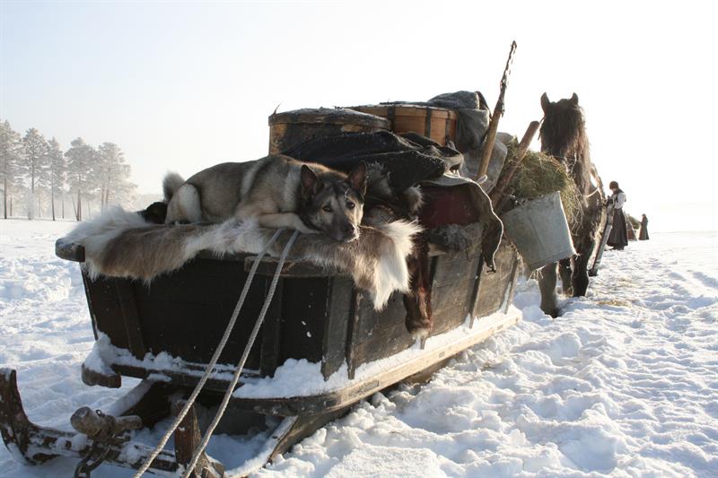 Hest og slede med full oppakking, elghund ligger oppå et elgskinn i sleden. 