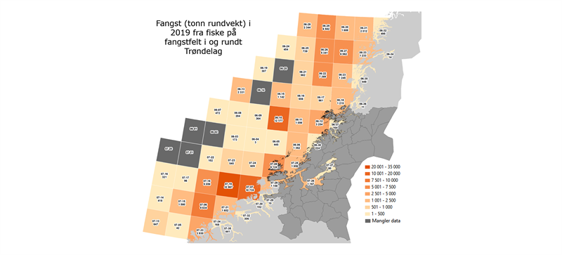 Fangst (tonn rundvekt) i 2019 fra fiske på fangsfelt i og rundt trøndelag