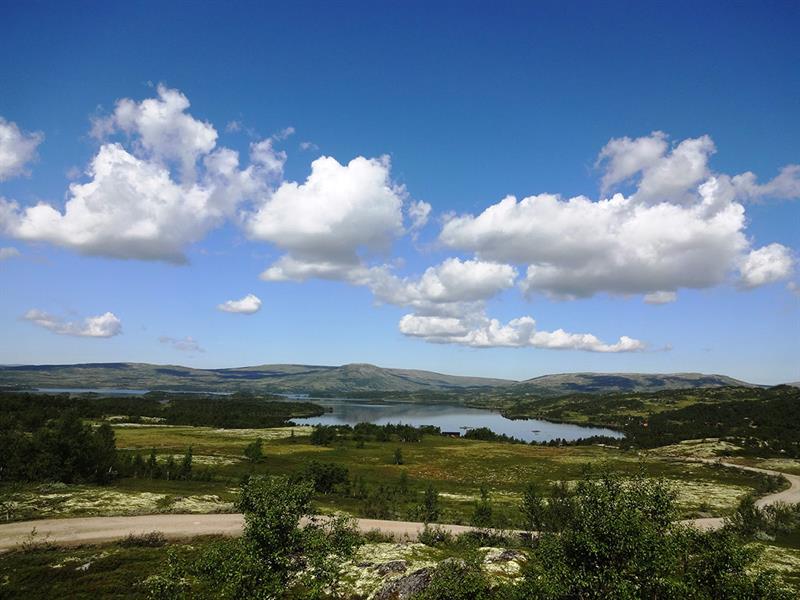 Forollhogna nasjonalpark. Foto: Inger Grøtli.