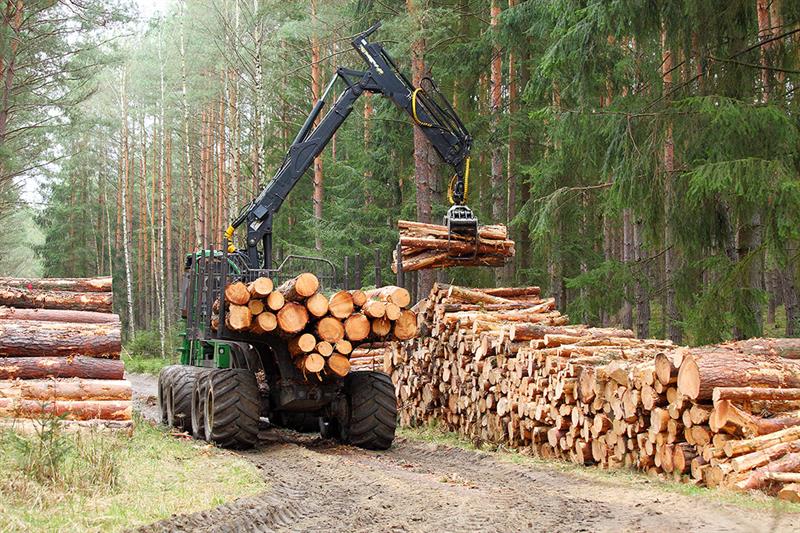 Skogsmaskin og tømmer. Bilde